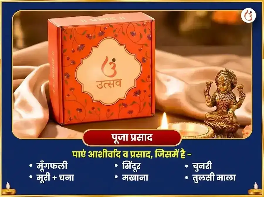 देवशयनी एकादशी विशेष 17,000 कृष्ण गायत्री मंत्र जाप और सर्व समृद्धि पंचोपचार पूजा puja gallery 3