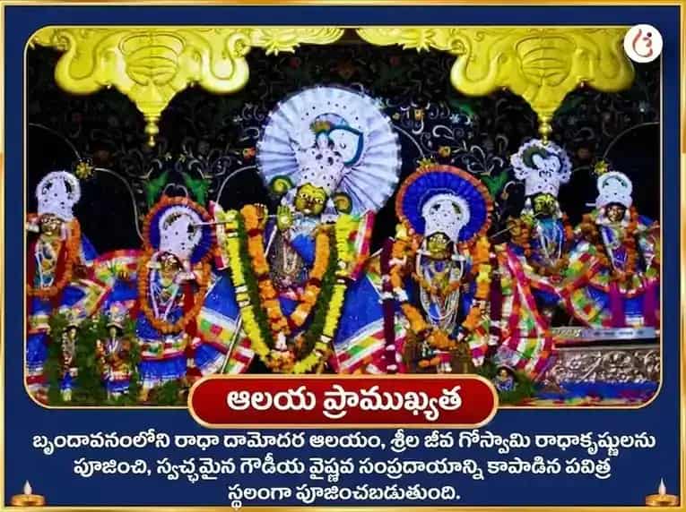 దేవశయని ఏకాదశి విశేష్ 17,000 కృష్ణ గాయత్రీ మంత్ర జాప్ మరియు సర్వ సమృద్ధి పంచోపచార పూజ puja gallery 4