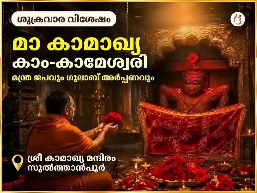 മാ കാമാഖ്യ കാം-കാമേശ്വരി മന്ത്ര ജപവും ഗുലാബ് അർപ്പണവും puja image 1