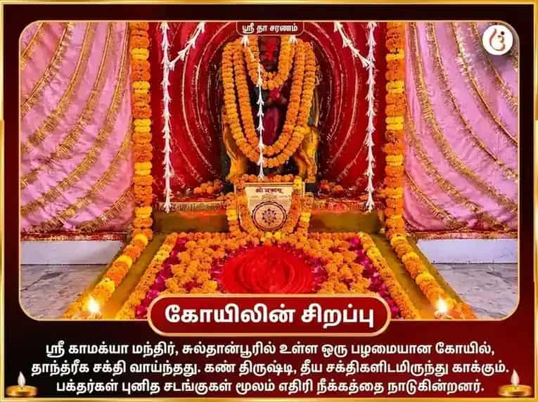 மா காமாக்யா நஜர் தோஷ நிவாரண தந்திர சித்தி மகா பூஜை puja gallery 4