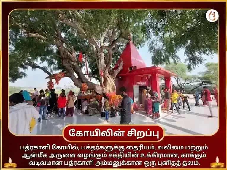 மா பத்ரகாளி 108 முண்ட மாலா சேவா மற்றும் விஜய சம்ரித்தி பீஜ மந்திர ஜாப அனுஷ்டான் puja gallery 4