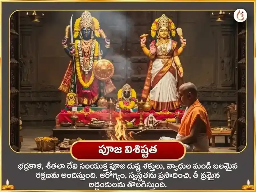 దర్శ అమావాస్య విశేష ఓలై చండి & శీతలా మాత సంపూర్ణ రోగ బాధ వినాశక కాళ రాత్రి మహా తంత్ర హవన అనుష్ఠానం puja gallery 5
