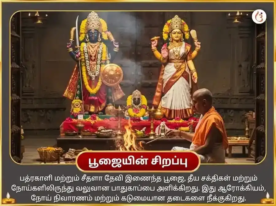 தர்ஷ அமாவாசை விசேஷ ஓலை சண்டி மற்றும் ஷீதள மாதா சம்பூர்ண ரோக பாதா விநாஷக காள ராத்திரி மகா தந்திர ஹவன் அனுஷ்டான் puja gallery 5