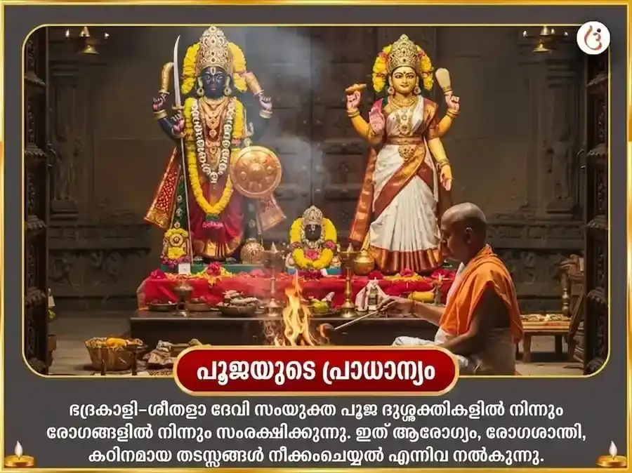 ദർശ അമാവാസി വിശേഷ് ഓലൈ ചണ്ഡി & ശീതളാ മാതാ സമ്പൂർണ്ണ രോഗ ബാധാ വിനാശക് കാളരാത്രി മഹാ തന്ത്ര ഹവൻ അനുഷ്ഠാൻ puja gallery 5