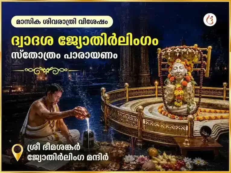 ശിവരാത്രി വിശേഷാൽ ദ്വാദശ ജ്യോതിർലിംഗ സ്തോത്ര പാഠം ഭീമാശങ്കർ ജ്യോതിർലിംഗം puja image 1