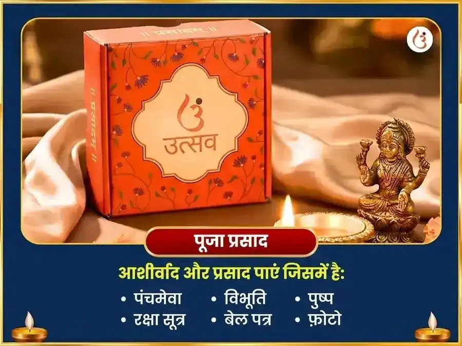 श्रावण सोमवार विशेष द्वादश ज्योतिर्लिंग स्तोत्रम पाठ भीमाशंकर ज्योतिर्लिंग puja gallery 3