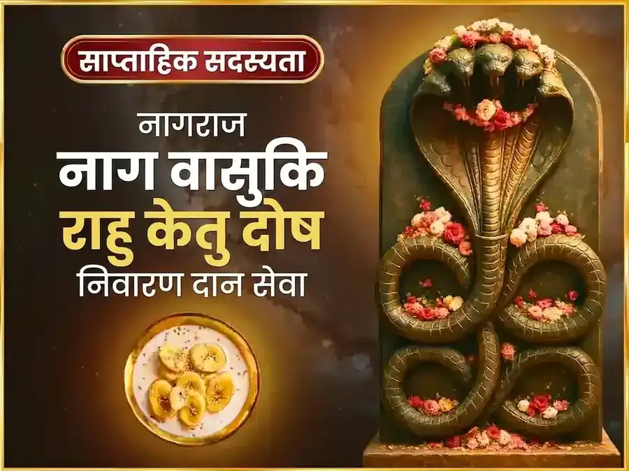 सोमवार राहु केतु दोष निवारण साप्ताहिक नागवासुकि दान सेवा puja image 1