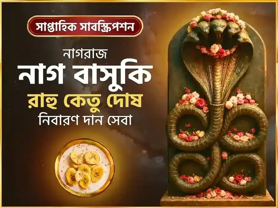 সোমবার রাহু কেতু দোষ নিবারণ সাপ্তাহিক নাগবাসুকি দান সেবা puja image 1