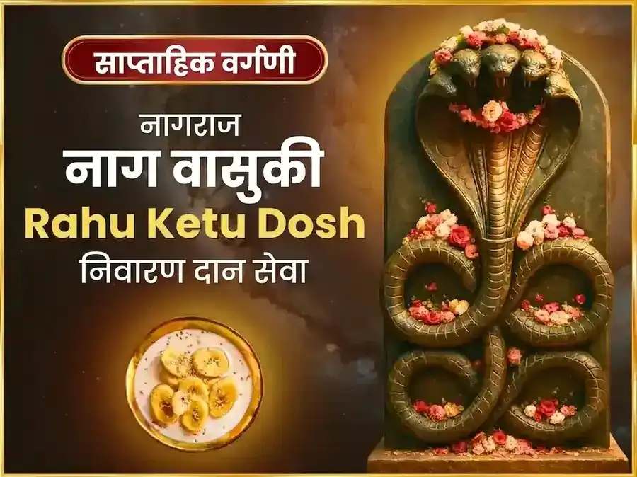 सोमवार राहू केतू दोष निवारण साप्ताहिक नागवासुकी दान सेवा puja image 1