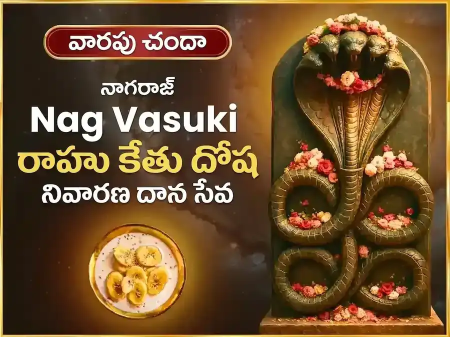 సోమవార రాహు కేతు దోష నివారణ వారపు నాగవాసుకి దాన సేవ puja image 1