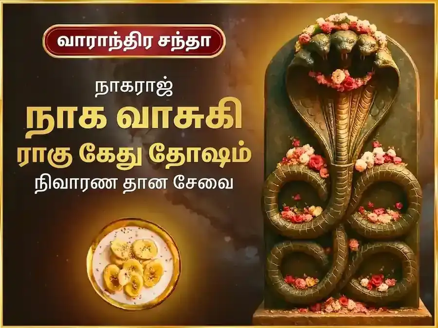 சோமவார ராகு கேது தோஷ நிவாரண வாராந்திர நாகவாசுகி தான சேவா puja image 1