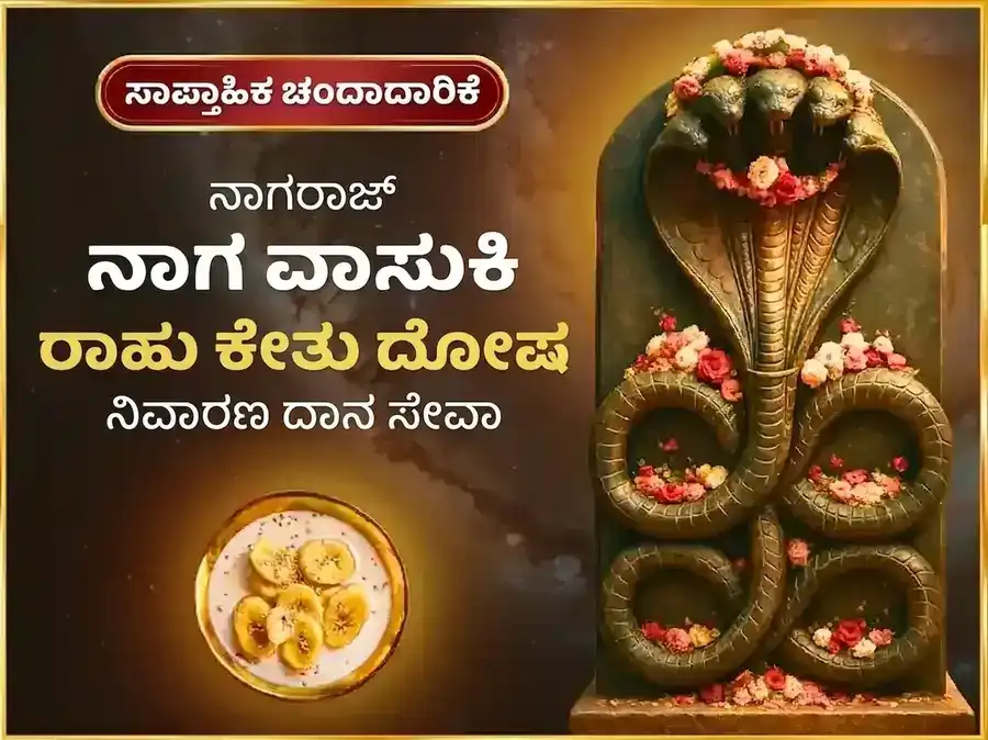 ಸೋಮವಾರ ರಾಹು ಕೇತು ದೋಷ ನಿವಾರಣ ವಾರದ ನಾಗವಾಸುಕಿ ದಾನ ಸೇವಾ puja image 1