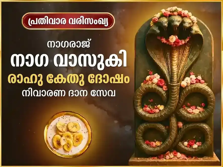 സോമവാർ രാഹു കേതു ദോഷ നിവാരണ പ്രതിവാര നാഗവാസുക്കി ദാന സേവ puja image 1