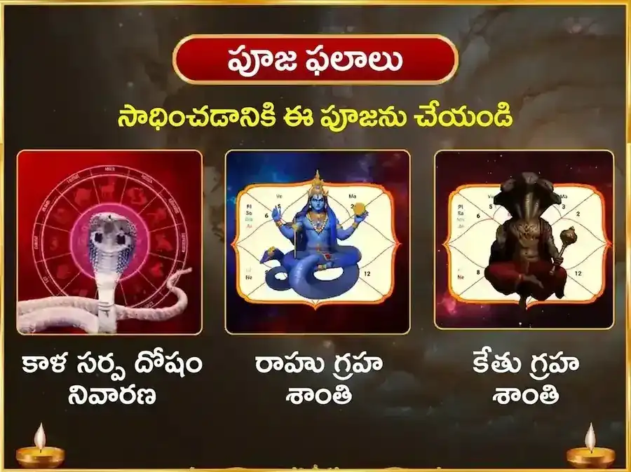 సోమవార రాహు కేతు దోష నివారణ వారపు నాగవాసుకి దాన సేవ puja gallery 1