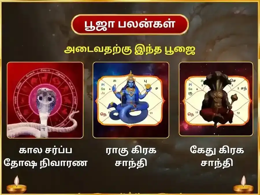சோமவார ராகு கேது தோஷ நிவாரண வாராந்திர நாகவாசுகி தான சேவா puja gallery 1