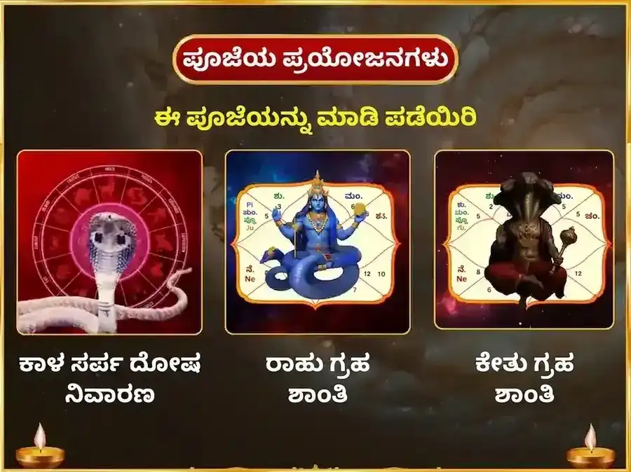 ಸೋಮವಾರ ರಾಹು ಕೇತು ದೋಷ ನಿವಾರಣ ವಾರದ ನಾಗವಾಸುಕಿ ದಾನ ಸೇವಾ puja gallery 1