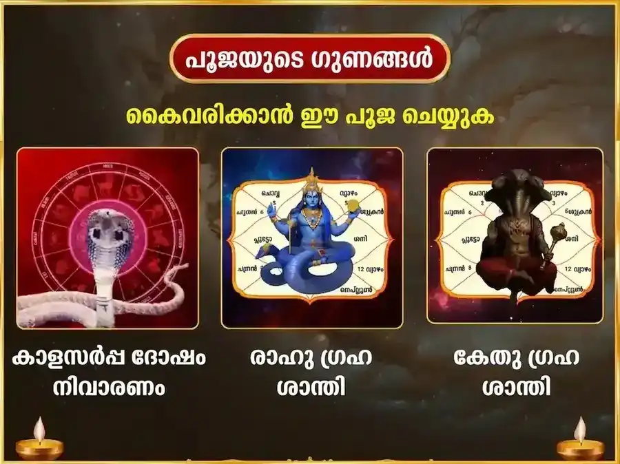 സോമവാർ രാഹു കേതു ദോഷ നിവാരണ പ്രതിവാര നാഗവാസുക്കി ദാന സേവ puja gallery 1