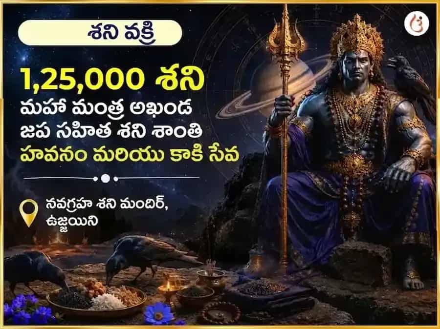 శని వక్రి రెట్రోగ్రేడ్ ప్రత్యేక 1,25,000 శని మహా మంత్ర అఖండ జప సహిత శని శాంతి హవనం & కాకి సేవ puja image 1