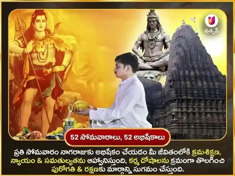 సోమవార రాహు కేతు దోష నివారణ వారపు నాగవాసుకి దాన సేవ puja gallery 2