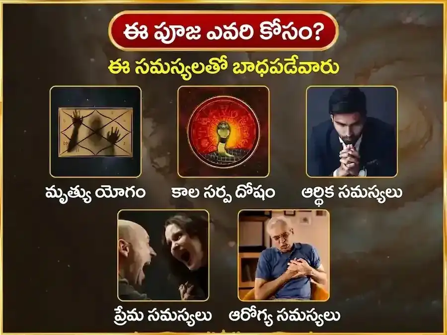 సోమవార రాహు కేతు దోష నివారణ వారపు నాగవాసుకి దాన సేవ puja gallery 3