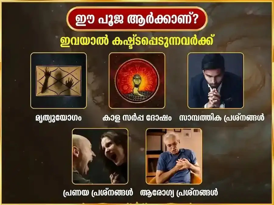 സോമവാർ രാഹു കേതു ദോഷ നിവാരണ പ്രതിവാര നാഗവാസുക്കി ദാന സേവ puja gallery 3