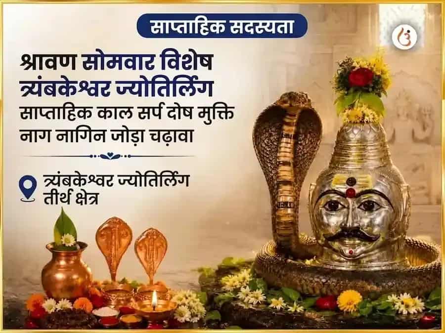 श्रावण सोमवार विशेष त्र्यंबकेश्वर ज्योतिर्लिंग साप्ताहिक कालसर्प दोष मुक्ति नाग नागिन जोड़ा चढ़ावा puja image 1