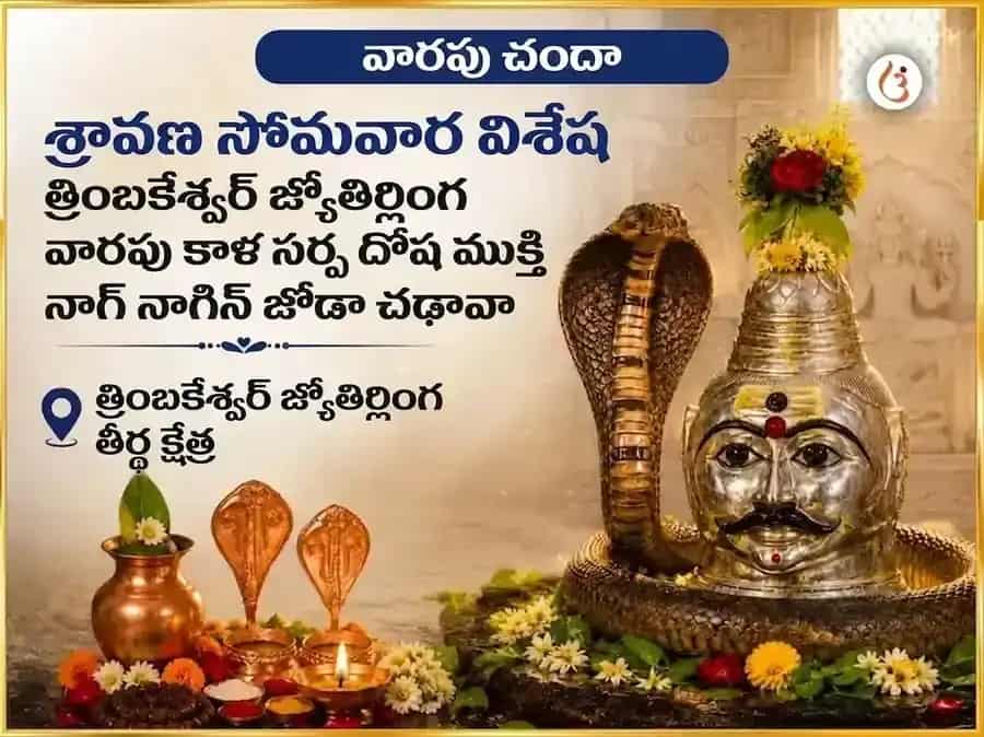 శ్రావణ సోమవార విశేష త్రయంబకేశ్వర జ్యోతిర్లింగ వారపు కాలసర్ప దోష ముక్తి నాగ నాగిని జోడి సమర్పణ puja image 1