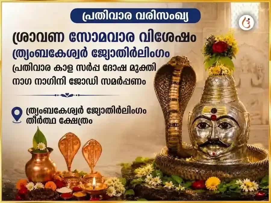 ശ്രാവണ സോമവാര വിശേഷം: ത്രയംബകേശ്വർ ജ്യോതിർലിംഗത്തിൽ പ്രതിവാര കാളസർപ്പ ദോഷ മുക്തി നാഗ-നാഗിനി ജോഡി സമർപ്പണം puja image 1