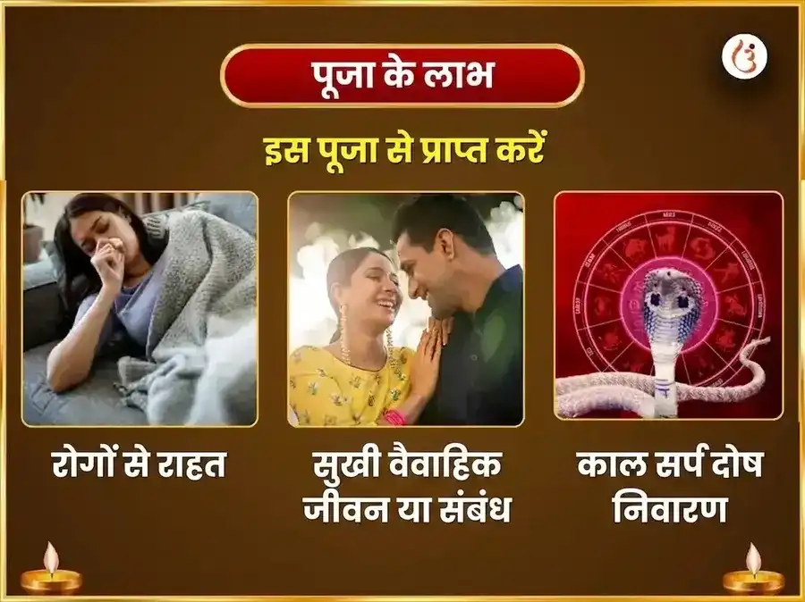 श्रावण सोमवार विशेष त्र्यंबकेश्वर ज्योतिर्लिंग साप्ताहिक कालसर्प दोष मुक्ति नाग नागिन जोड़ा चढ़ावा puja gallery 1