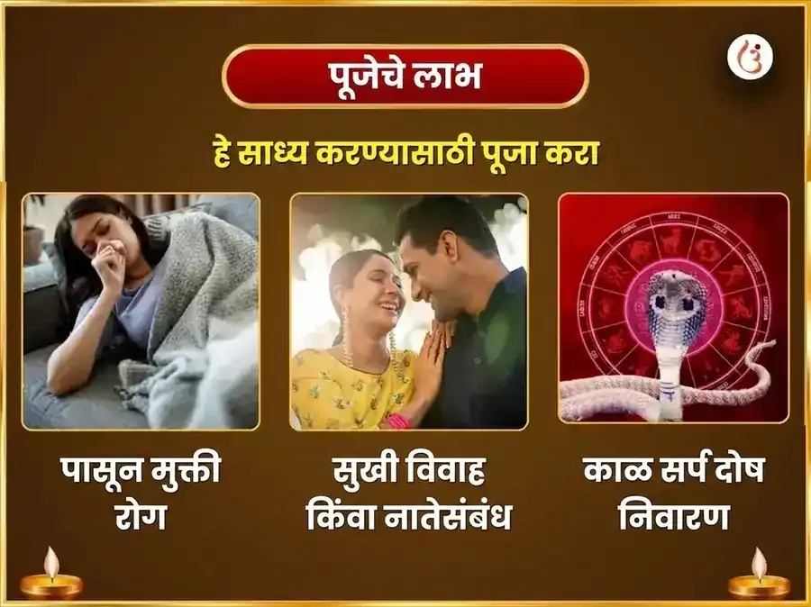 श्रावण सोमवार विशेष त्र्यंबकेश्वर ज्योतिर्लिंग साप्ताहिक कालसर्प दोष मुक्ती नाग-नागिन जोडा चढावा puja gallery 1