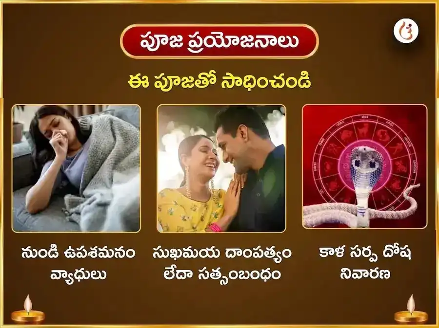 శ్రావణ సోమవార విశేష త్రయంబకేశ్వర జ్యోతిర్లింగ వారపు కాలసర్ప దోష ముక్తి నాగ నాగిని జోడి సమర్పణ puja gallery 1