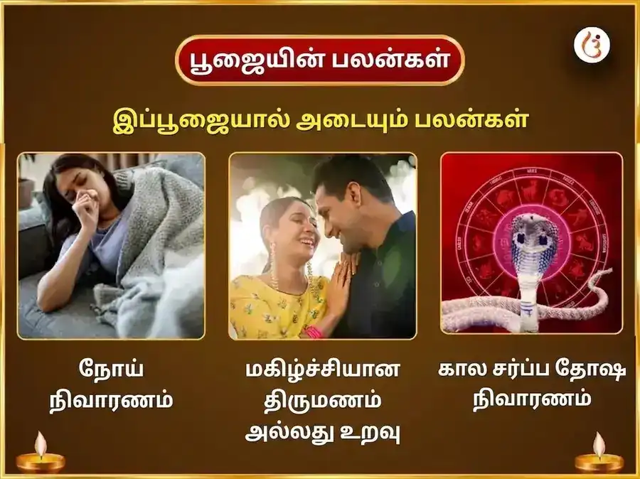 ஷ்ராவண சோமவார விசேஷம் த்ரயம்பகேஷ்வர் ஜ்யோதிர்லிங்க வாராந்திர காலசர்ப்ப தோஷ முக்தி நாக் நாகின் ஜோடா சமர்ப்பணம் puja gallery 1