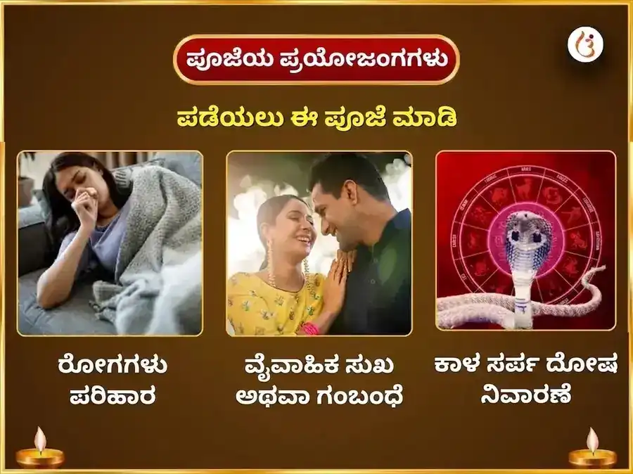 ಶ್ರಾವಣ ಸೋಮವಾರ ವಿಶೇಷ ತ್ರ್ಯಂಬಕೇಶ್ವರ ಜ್ಯೋತಿರ್ಲಿಂಗ ಸಾಪ್ತಾಹಿಕ ಕಾಳಸರ್ಪ ದೋಷ ಮುಕ್ತಿ ನಾಗ-ನಾಗಿಣಿ ಜೋಡಿ ಅರ್ಪಣೆ puja gallery 1