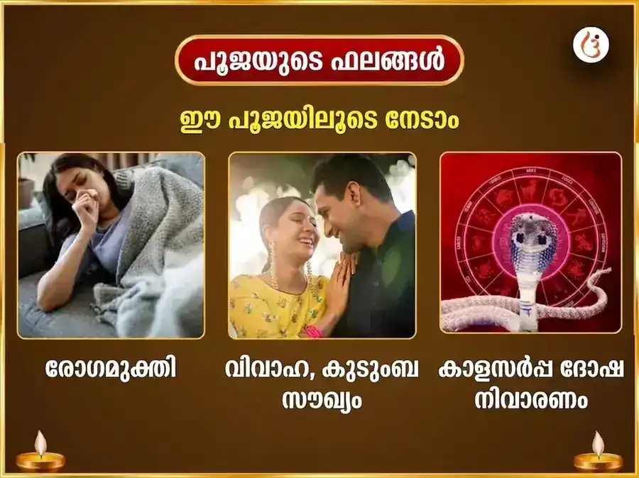 ശ്രാവണ സോമവാര വിശേഷം: ത്രയംബകേശ്വർ ജ്യോതിർലിംഗത്തിൽ പ്രതിവാര കാളസർപ്പ ദോഷ മുക്തി നാഗ-നാഗിനി ജോഡി സമർപ്പണം puja gallery 1