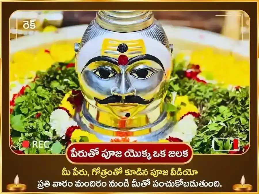 శ్రావణ సోమవార విశేష త్రయంబకేశ్వర జ్యోతిర్లింగ వారపు కాలసర్ప దోష ముక్తి నాగ నాగిని జోడి సమర్పణ puja gallery 4