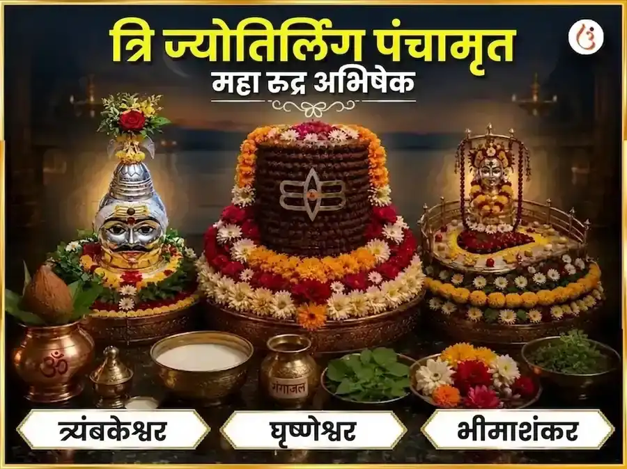 श्रावण सोमवार विशेष त्रि ज्योतिर्लिंग पंचामृत महारुद्राभिषेक पूजा puja image 1