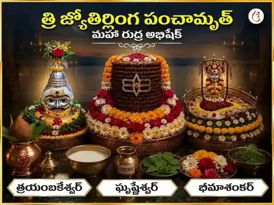 శ్రావణ సోమవార్ స్పెషల్ త్రి జ్యోతిర్లింగ పంచామృత్ మహా రుద్ర అభిషేక్ పూజ puja image 1