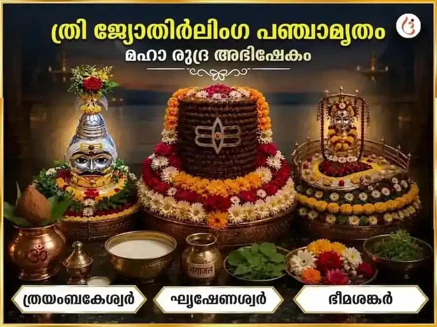 ശ്രാവണ സോമവാര വിശേഷ ത്രി ജ്യോതിർലിംഗ പഞ്ചാമൃത മഹാ രുദ്രാഭിഷേക പൂജ puja image 1