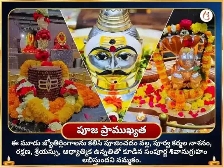 శ్రావణ సోమవార్ స్పెషల్ త్రి జ్యోతిర్లింగ పంచామృత్ మహా రుద్ర అభిషేక్ పూజ puja gallery 4