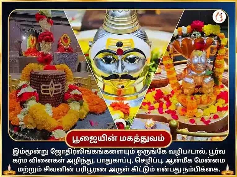 சிராவண சோமவார சிறப்பு திரி ஜோதிர்லிங்க பஞ்சாமிர்த மகா ருத்ர அபிஷேக பூஜை puja gallery 4
