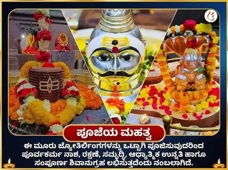 ಶ್ರಾವಣ ಸೋಮವಾರ ವಿಶೇಷ ತ್ರಿ ಜ್ಯೋತಿರ್ಲಿಂಗ ಪಂಚಾಮೃತ ಮಹಾ ರುದ್ರಾಭಿಷೇಕ ಪೂಜೆ puja gallery 4