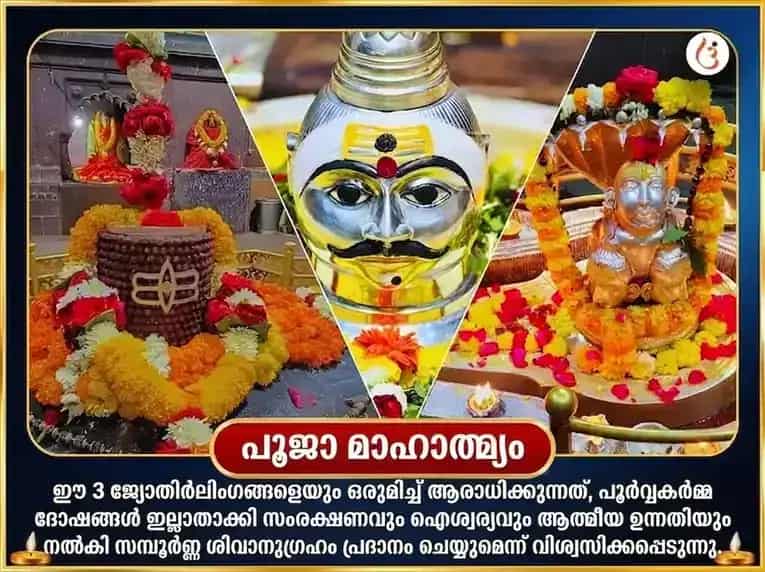 ശ്രാവണ സോമവാര വിശേഷ ത്രി ജ്യോതിർലിംഗ പഞ്ചാമൃത മഹാ രുദ്രാഭിഷേക പൂജ puja gallery 4