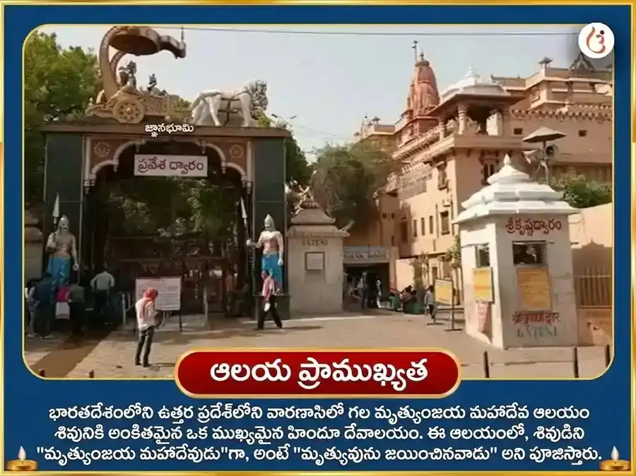 శ్రావణ సోమవార విశేష 1,25,000 మహా మృత్యుంజయ మంత్ర జపం మరియు నిర్వాణ షట్కం పారాయణం puja gallery 4