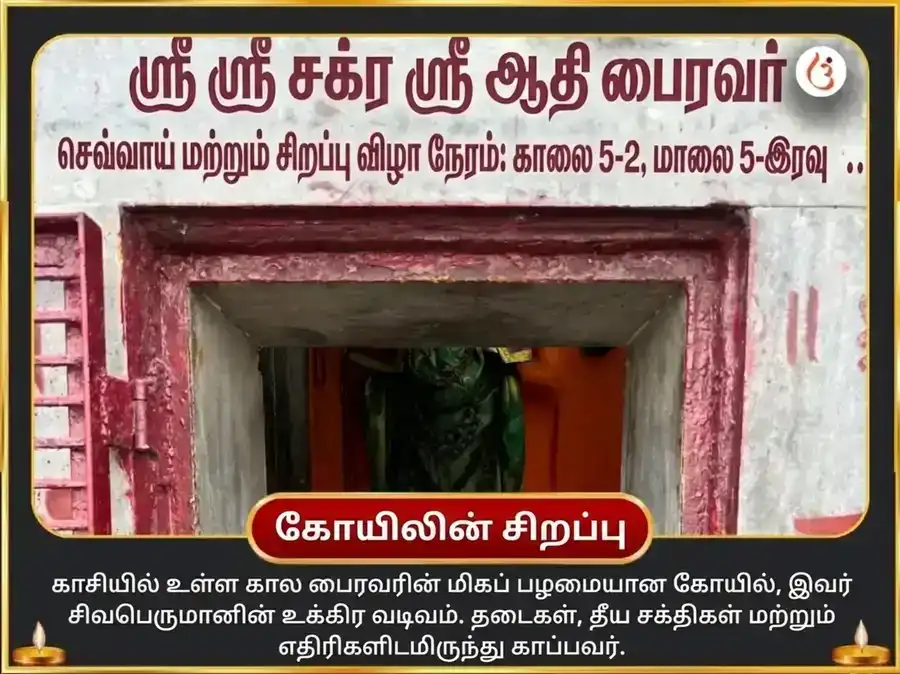 சிராவண சோமவார விசேஷ தீக்ஷ்ண தம்ஷ்ட்ர கால பைரவர் அஷ்டகம் & 64 பைரவர் ஹவன் puja gallery 4