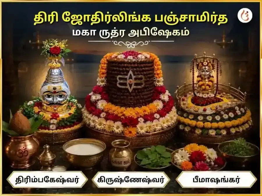 மாதாந்திர சிவராத்திரி சிறப்பு திரி ஜோதிர்லிங்க பஞ்சாமிர்த மகா ருத்ர அபிஷேக பூஜை puja image 1