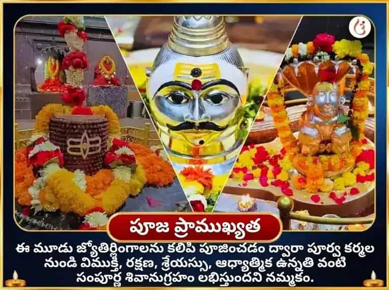 మాసిక శివరాత్రి స్పెషల్ త్రి జ్యోతిర్లింగ పంచామృత మహా రుద్రాభిషేక పూజ puja gallery 4