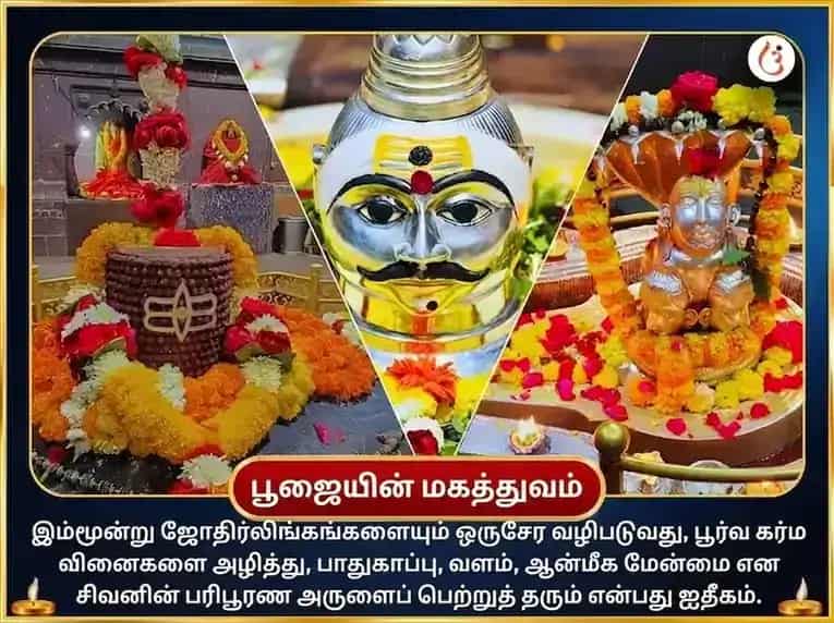 மாதாந்திர சிவராத்திரி சிறப்பு திரி ஜோதிர்லிங்க பஞ்சாமிர்த மகா ருத்ர அபிஷேக பூஜை puja gallery 4