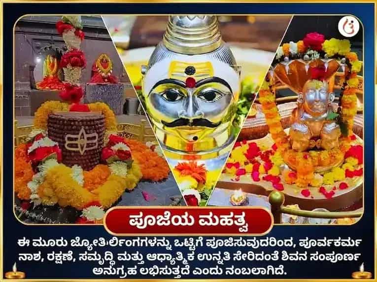 ಮಾಸಿಕ ಶಿವರಾತ್ರಿ ವಿಶೇಷ ತ್ರಿ ಜ್ಯೋತಿರ್ಲಿಂಗ ಪಂಚಾಮೃತ ಮಹಾ ರುದ್ರ ಅಭಿಷೇಕ ಪೂಜೆ puja gallery 4
