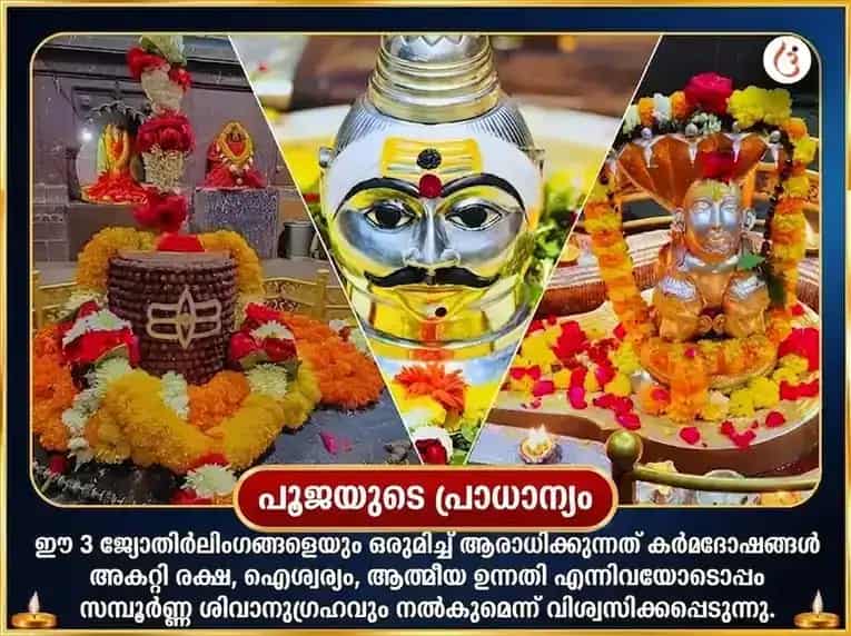 മാസിക ശിവരാത്രി സ്പെഷ്യൽ ത്രി ജ്യോതിർലിംഗ പഞ്ചാമൃത മഹാ രുദ്ര അഭിഷേക പൂജ puja gallery 4