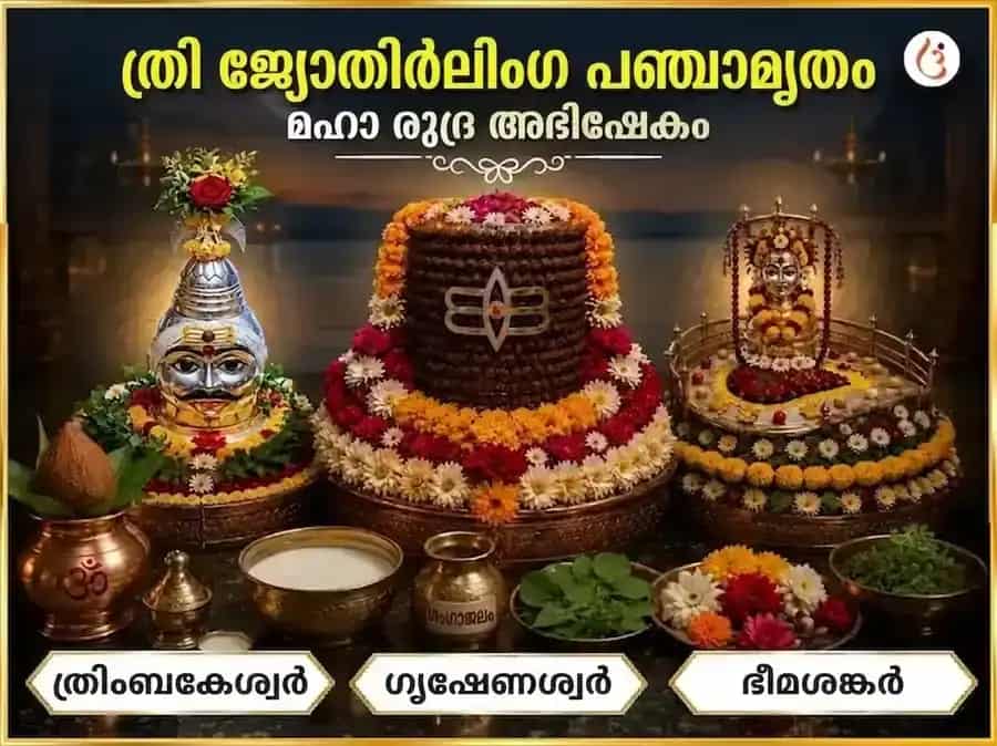മാസിക ശിവരാത്രി സ്പെഷ്യൽ ത്രി ജ്യോതിർലിംഗ പഞ്ചാമൃത മഹാ രുദ്ര അഭിഷേക പൂജ puja image 1